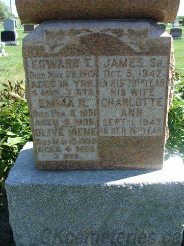 Click to view full size image