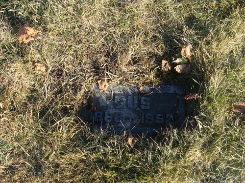 Click to view full size image