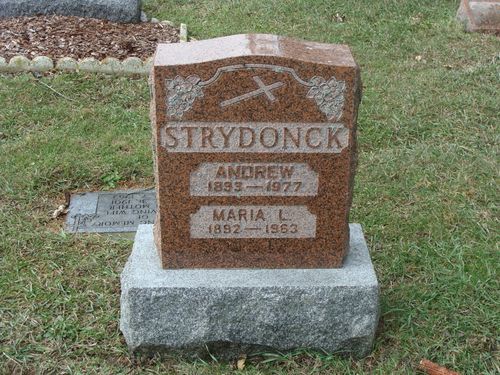 Click to view full size image