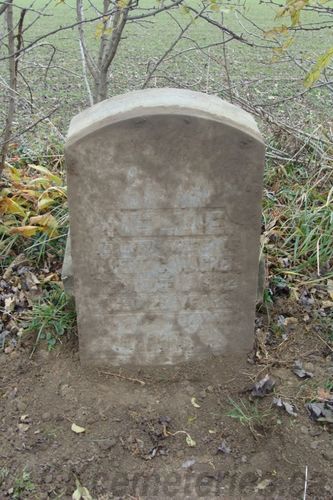 Click to view full size image