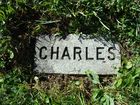 Filename=Babbitt2C_Charles.jpg
Filesize=812KiB
Dimensions=1024x768
Date added=Apr 15, 2014 Babbitt2C_Charles.jpg