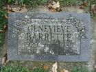 Filename=Barrette2C_Genevieve.jpg
Filesize=756KiB
Dimensions=1024x768
Date added=May 23, 2014 Barrette2C_Genevieve.jpg