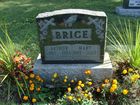 Filename=Brice2C_Arthur_2B_Mary.jpg
Filesize=764KiB
Dimensions=1024x768
Date added=Dec 03, 2013 Brice2C_Arthur_2B_Mary.jpg