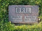 Filename=Bril2C_Arnold_2B_Martha.jpg
Filesize=876KiB
Dimensions=1024x768
Date added=Sep 09, 2014 Bril2C_Arnold_2B_Martha.jpg