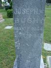 Bushy2C_Joseph.jpg