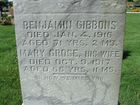 Filename=Gibbons2C_Benjamin_2B_Mary_28229.jpg
Filesize=713KiB
Dimensions=1024x768
Date added=Feb 14, 2014 Gibbons2C_Benjamin_2B_Mary_28229.jpg
