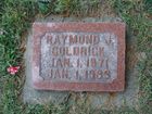 Goldrick2C_Raymond_J_.jpg