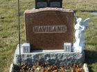 Filename=Haviland_Family_Stone.JPG
Filesize=151KiB
Dimensions=640x480
Date added=Feb 12, 2012 Haviland_Family_Stone.JPG