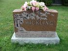 Filename=Hickling2C_Gordon_2B_Pearl.jpg
Filesize=751KiB
Dimensions=1024x768
Date added=Dec 19, 2014 Hickling2C_Gordon_2B_Pearl.jpg