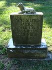 Filename=Palocz2C_Wayne_Stephen.jpg
Filesize=679KiB
Dimensions=768x1024
Date added=Apr 17, 2014 Palocz2C_Wayne_Stephen.jpg