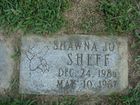 Sheff2C_Shawna_Joy.jpg