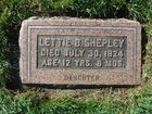 Shepley2C_Lettie_B_.jpg