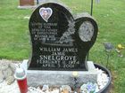 Filename=Snelgrove2C_William_James.jpg
Filesize=676KiB
Dimensions=1024x768
Date added=Sep 16, 2014 Snelgrove2C_William_James.jpg
