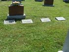 Filename=Van_Damme_Plot.jpg
Filesize=502KiB
Dimensions=800x600
Date added=Aug 08, 2013 Van_Damme_Plot.jpg
