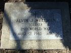 Filename=Wellman2C_Alvin_J__28800x60029.jpg
Filesize=420KiB
Dimensions=800x600
Date added=Apr 07, 2013 Wellman2C_Alvin_J__28800x60029.jpg