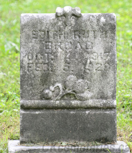 Click to view full size image