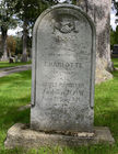 R5-100.jpg